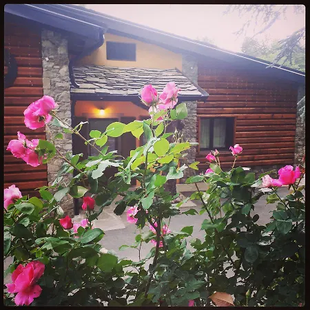 Πανσιόν Trout